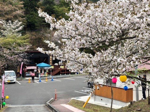 🌸 칸논가이케 시민의 숲 (칸논가이케 시민노모리) 이미지 11